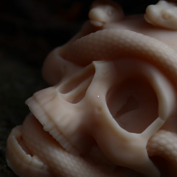 White skully – Image 2